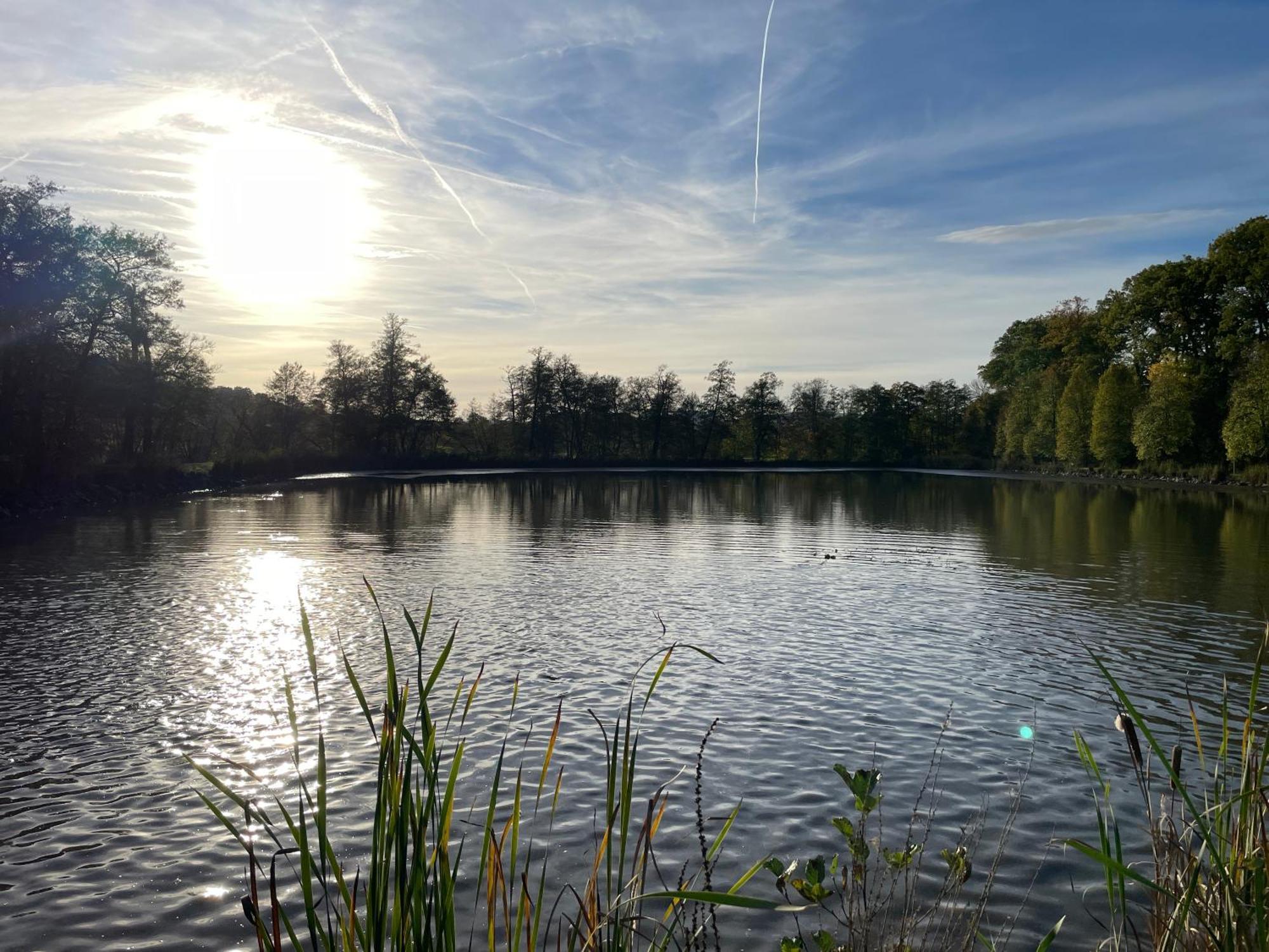 Naturnahe Unterkunft In Der Burgenstadt Schlitz Exteriör bild