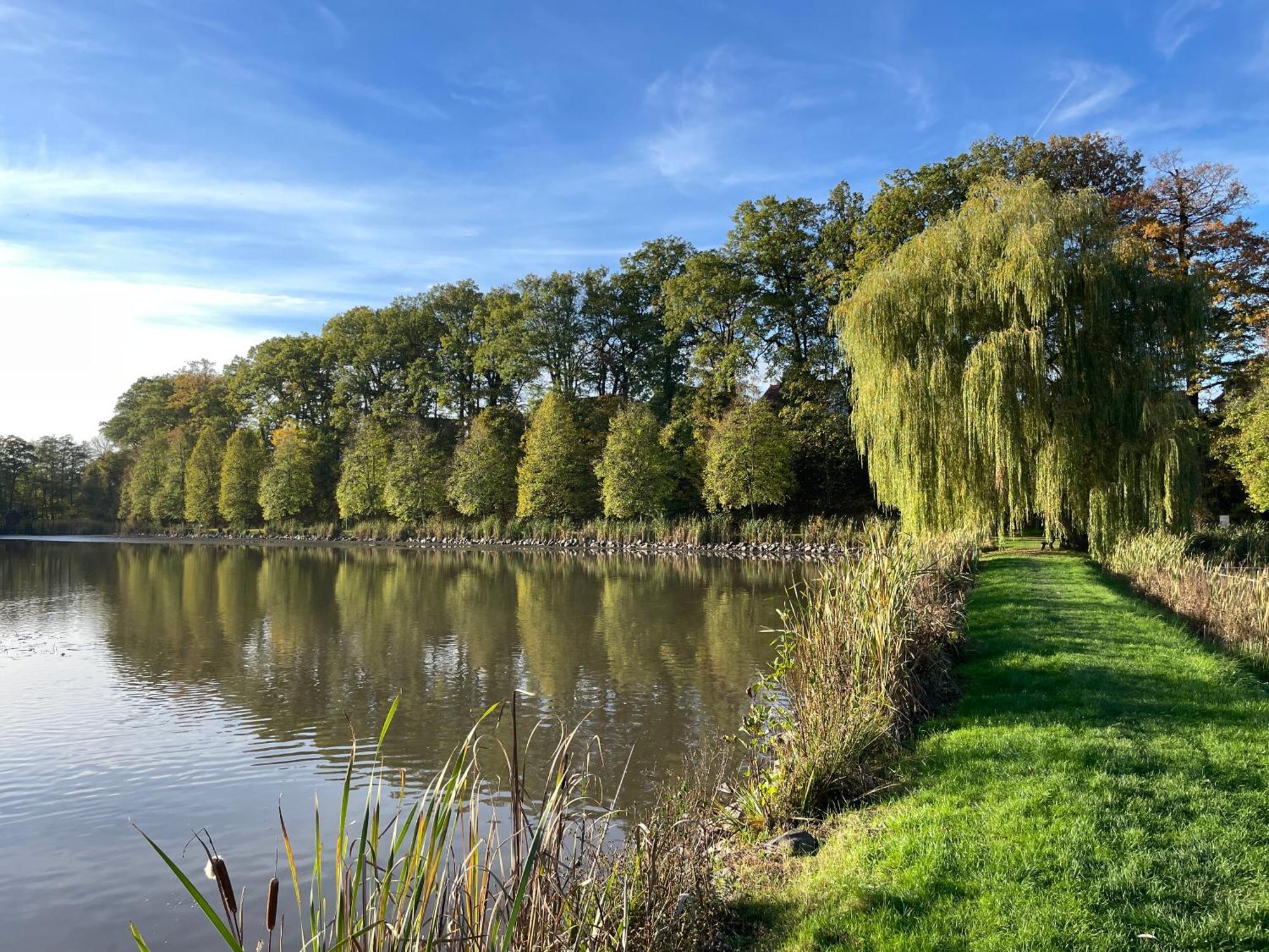 Naturnahe Unterkunft In Der Burgenstadt Schlitz Exteriör bild